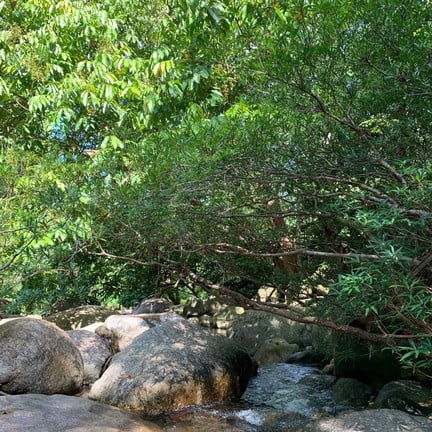 น้ําตกพรหมโลก