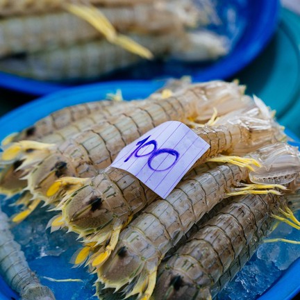 ตลาด 100 ปีเมืองปากพนัง