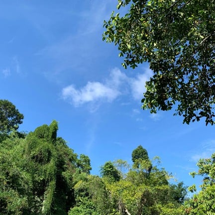 น้ําตกพรหมโลก