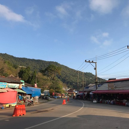 ดอยแม่สลอง