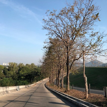 อ่างเก็บน้ำบางพระ