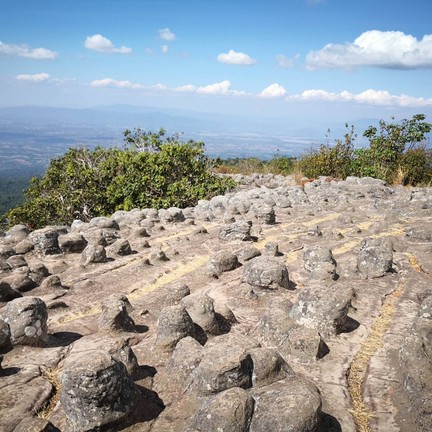 ลานหินปุ่ม