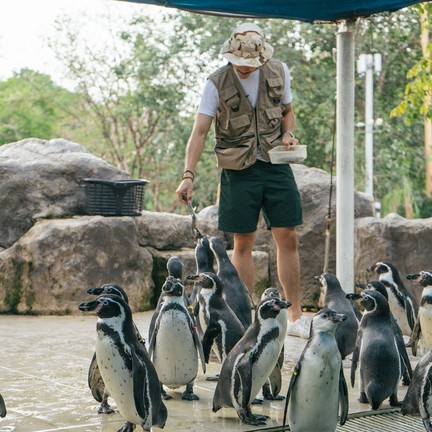 สวนสัตว์เปิดเขาเขียว (เขาเขียวไนท์ซาฟารี)