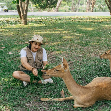 สวนสัตว์เปิดเขาเขียว (เขาเขียวไนท์ซาฟารี)
