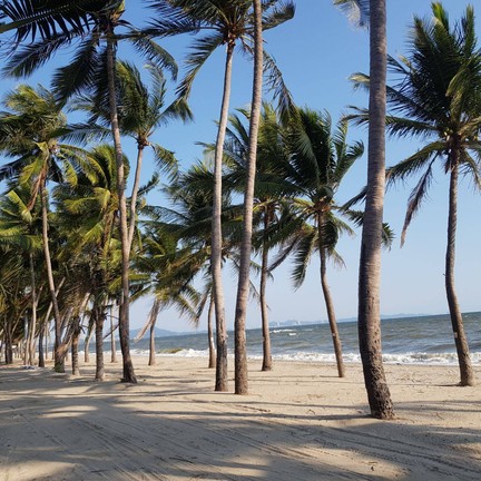 หาดบางแสน