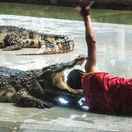 สวนเสือศรีราชา