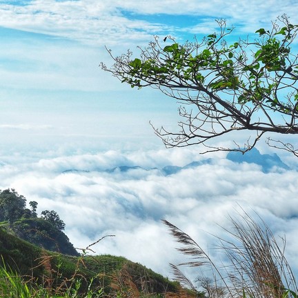 ภูทับเบิก