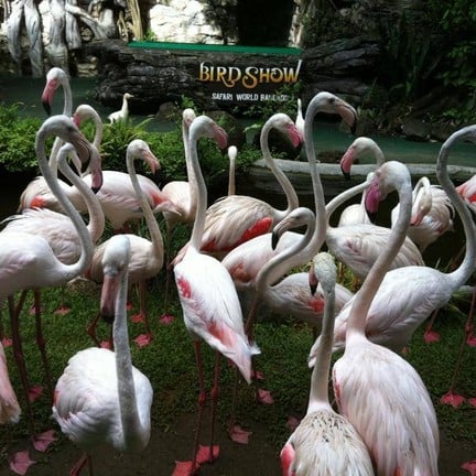 ซาฟารีเวิลด์