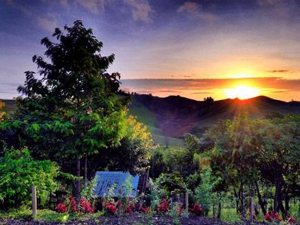 อุทยานแห่งชาติเขาค้อ