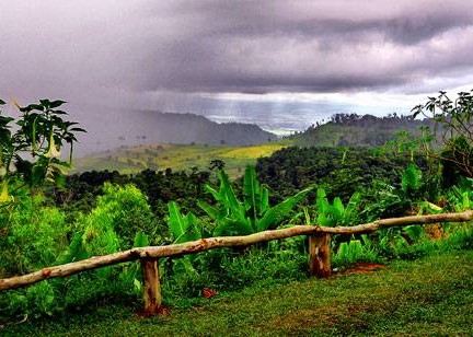 อุทยานแห่งชาติเขาค้อ