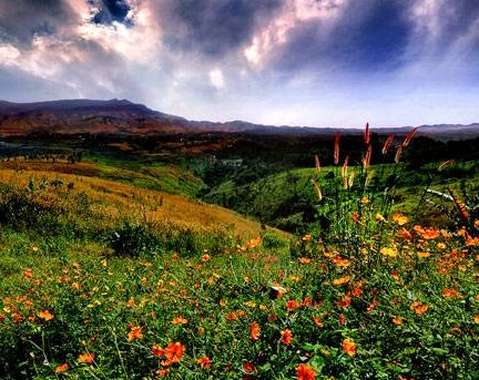 อุทยานแห่งชาติเขาค้อ