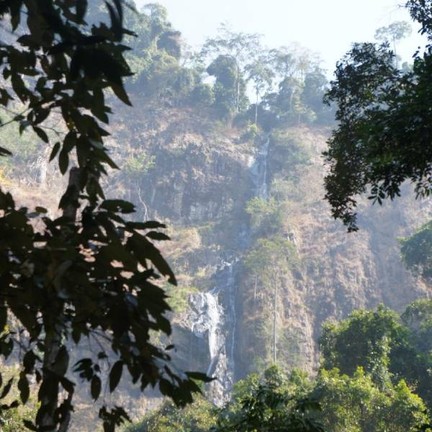 อุทยานแห่งชาติตาดหมอก