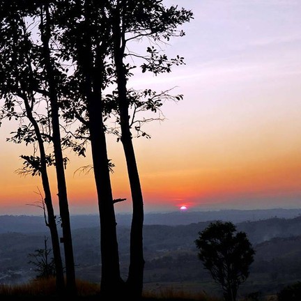 สวนป่าหิมพานต์