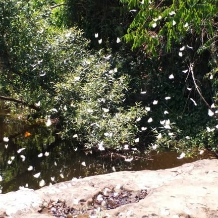 แก่งบางระจัน