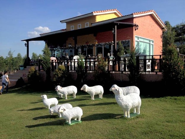 Bellissimo cafe