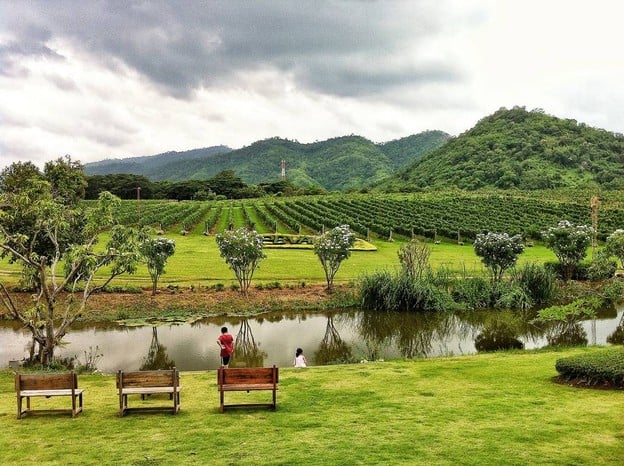 The Great Hornbill ไร่พีบีวัลเลย์