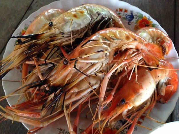 แพอาหารรุ่ง ชัยนาท