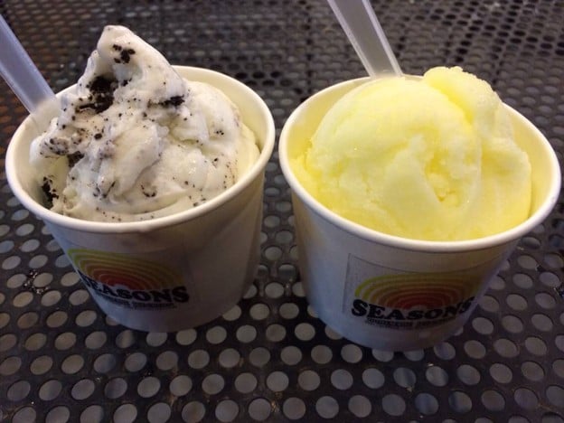 Seasons Premium Homemade Icecream
