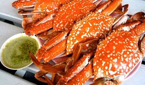 บ้านปองพลซีฟู้ด