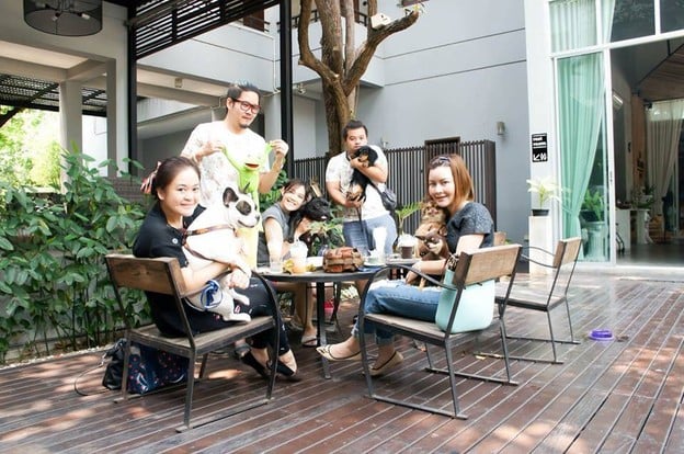 KETAWA DOG FRIENDLY KAFE