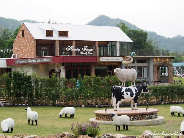 Honey Scene Kitchen The Scenery Resort & Farm