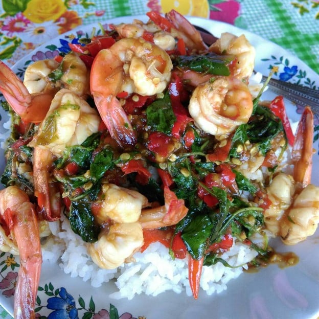 ยาโภชนา บ้านเกาะ