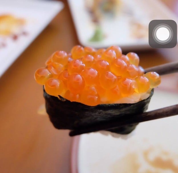 CAT Sushi.Yo Japanese Restaurant