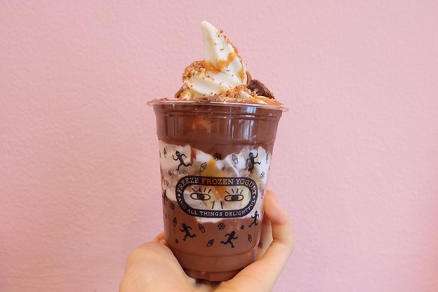 Freeze Frozen Yogurt