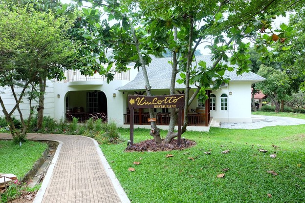 VinCotto
