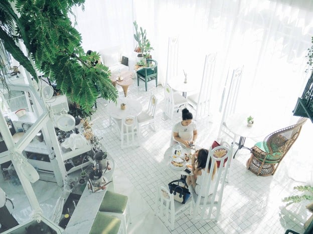 Organika House พิมาน 49