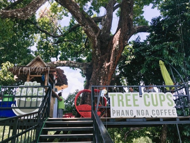 บรรยากาศ Tree Cups Phang Nga Coffee
