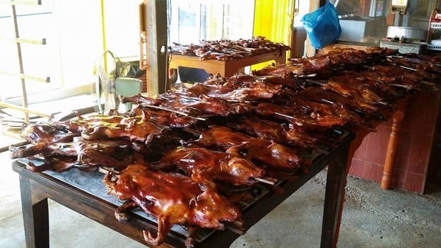 วัวหันอินเตอร์ ลำพูน