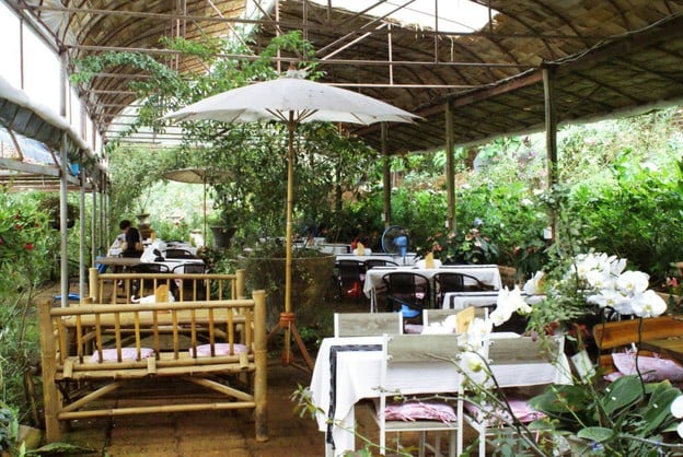 บรรยากาศ สวนกุหลาบห้วยผักไผ่ ศูนย์พัฒนาโครงการหลวงทุ่งเริง