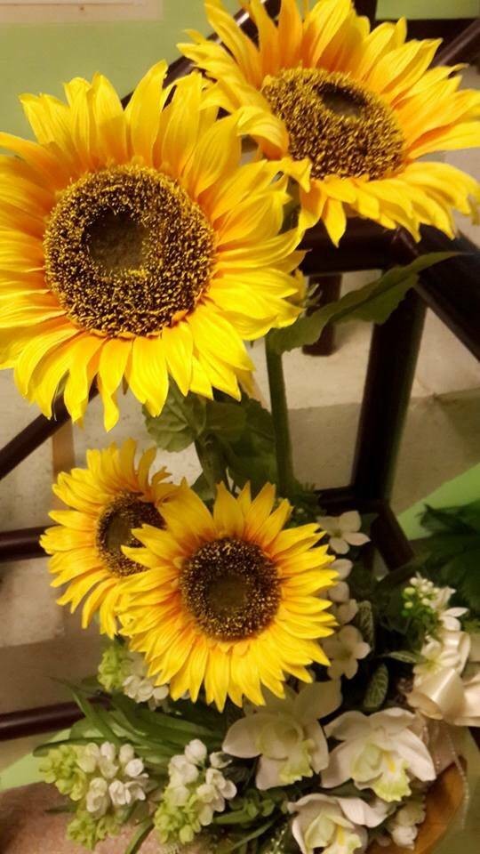 Soft Soft  massage & spa