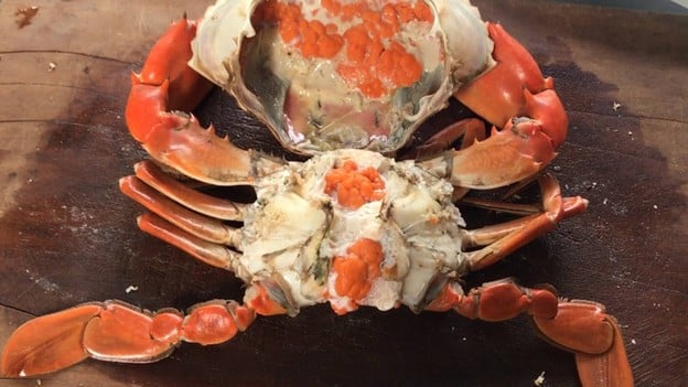 เมนูของร้าน เจ้หงษ์ ซีฟู้ด | Jhong Seafood ถนนศรีนครินทร์ 24