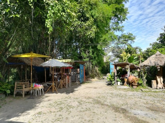 บรรยากาศ ป่าไผ่กาแฟดริป