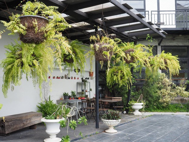 บรรยากาศ Town Tree