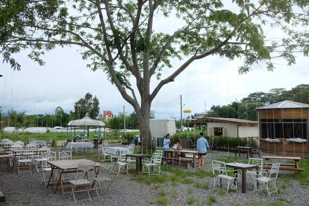 Jolly Cafe by Cup Mellow Khao Kho