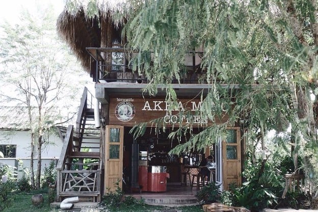 Akha Mino Coffee Chiangrai
