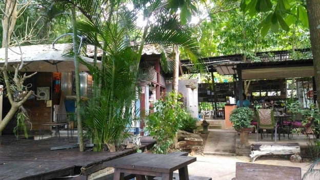 บรรยากาศ ไอกรุ่นกลางดอย