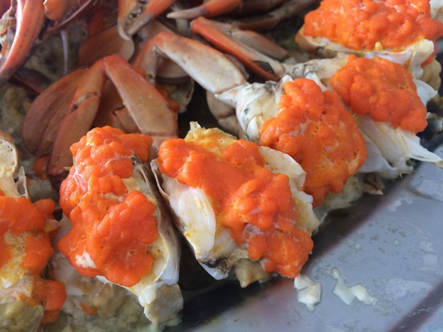 เรือนวารี(แม่กลอง)