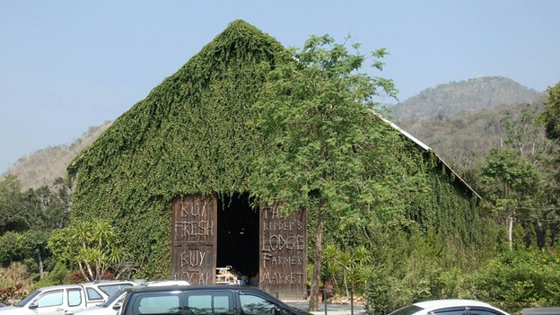 The Birder's Lodge Cafe (BL Cafe & Grill)