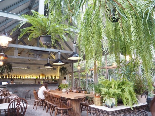 บรรยากาศ Daydream Believer