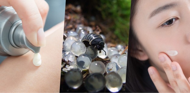 สเต็มเซลล์ไข่หอยทาก ของใหม่สำหรับคนอยากหน้าเด็ก