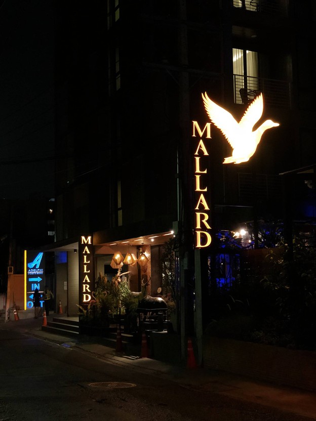 Mallard
