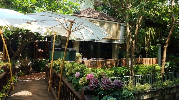 บรรยากาศ แมกไม้ชายคลอง