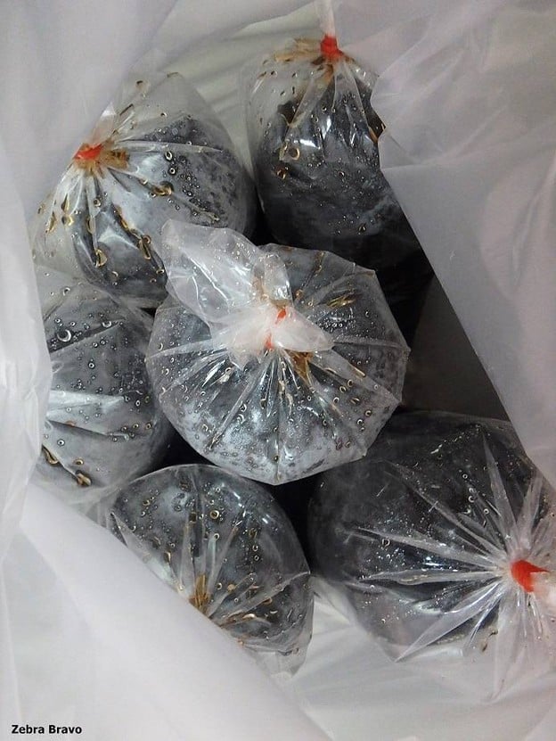 เมนูของร้าน เฉาก๊วยสดอาโก ตลาดบางปะกอก