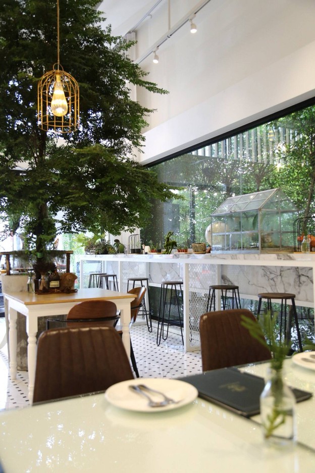 บรรยากาศ DishCovery Greenery