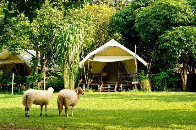 หินตกริเวอร์แค้มป์ ณ ช่องเขาขาด