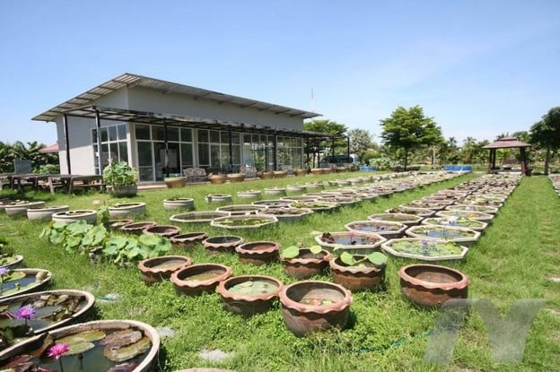 บรรยากาศ พิพิธภัณฑ์บัว